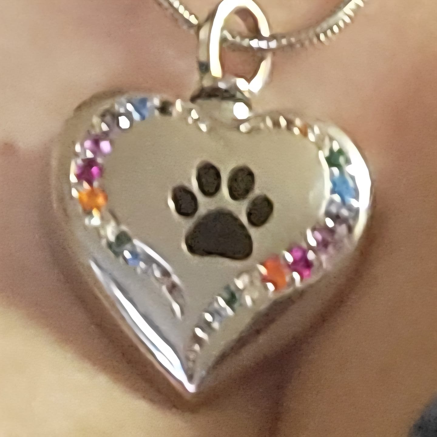 Customer photo review of Rainbow Bridge Paw Print Pet Cremation Necklace