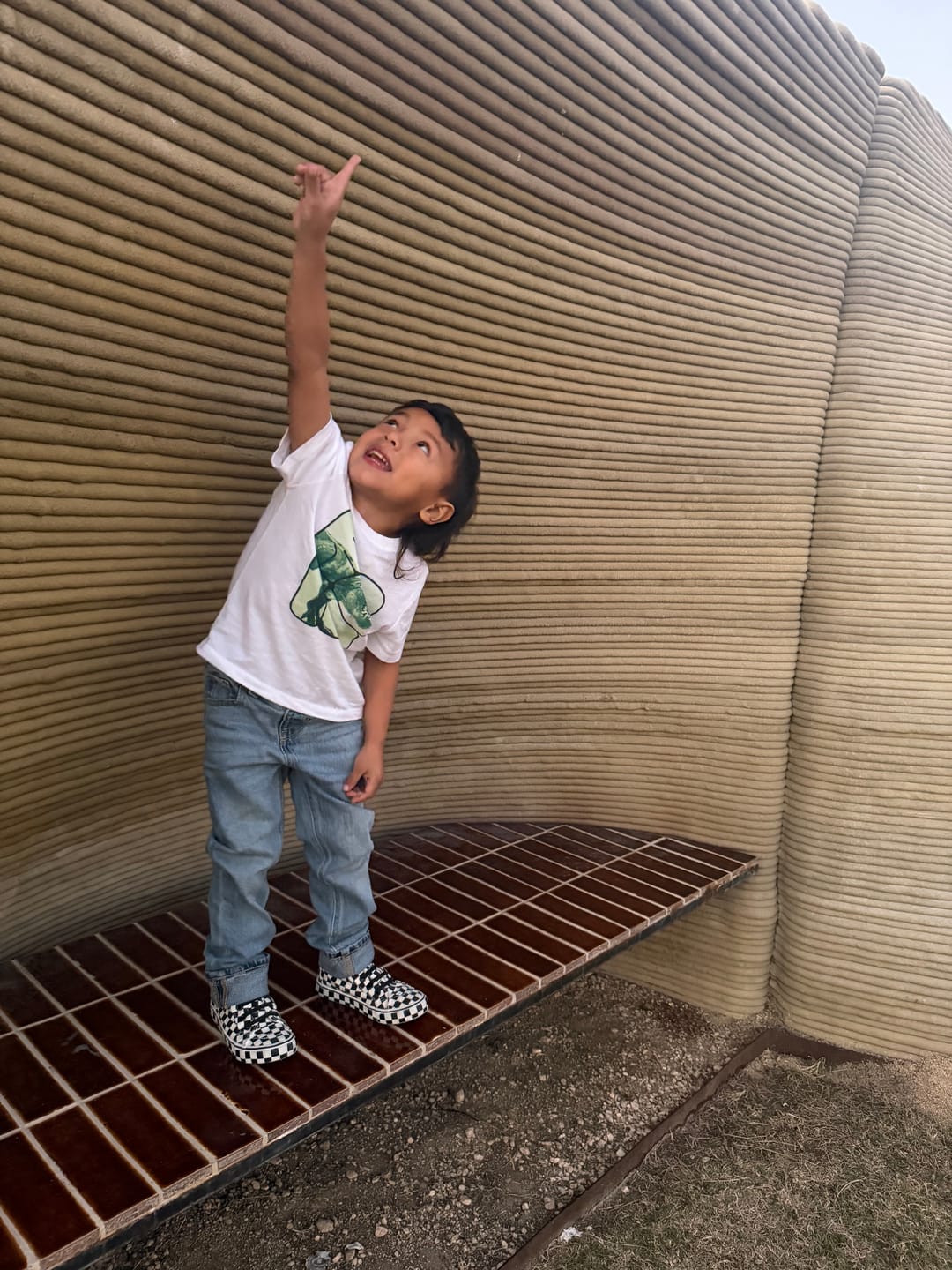 Customer photo review of SK8TR Hi-Top in Venice (Checkered)