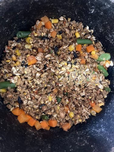 Customer photo review of GrubTerra Dried Black Soldier Fly Larvae 10lb