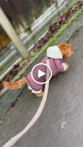 Customer video review of Chocolate | The Capsule Quilted Bodysuit