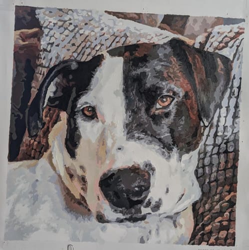 Customer photo review of Custom Pet Paint By Numbers
