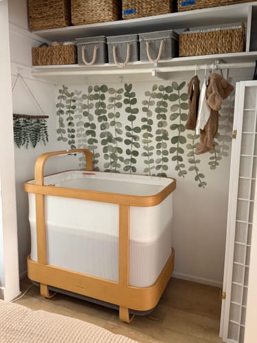 Customer photo review of Vines