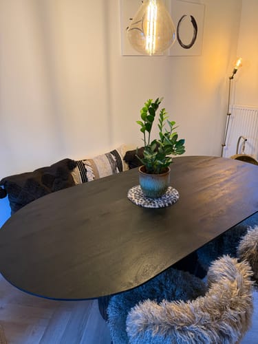 Close-up van de zwarte, ovale Eettafel Ava van een recensent, met een plant in het midden en een bankje erachter.
