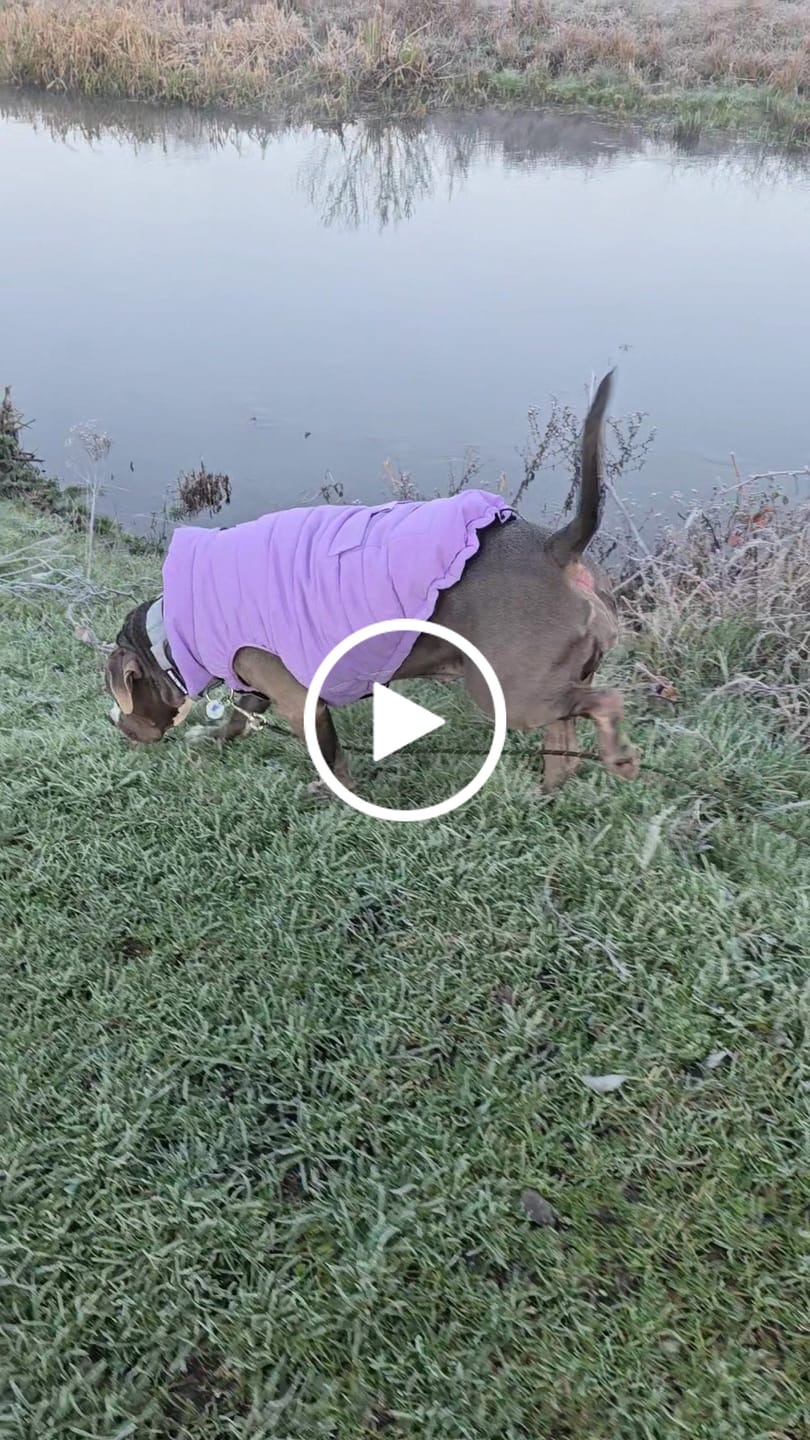 Customer video review of WarmShield Water-Resistant Jacket - Lilac
