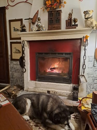 Recensore condivide una scena accogliente con un cane e un camino per la sua recensione del set di campioni.