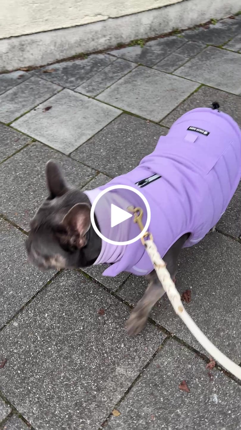 Customer video review of WarmShield Water-Resistant Jacket - Lilac