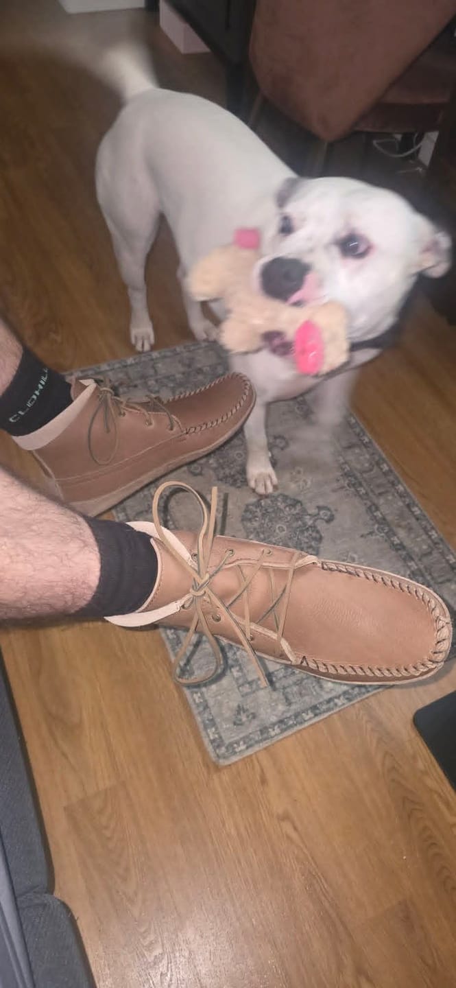 Customer photo review of Crew Socks 8 Pairs