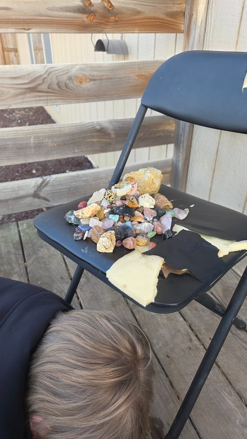 Customer photo review of Declan’s Mix Bucket