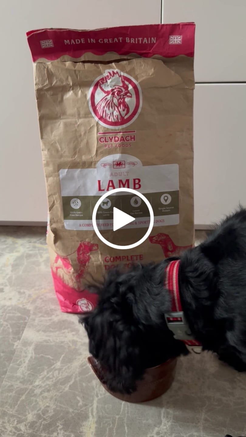 Customer video review of Welsh Lamb Dry Food