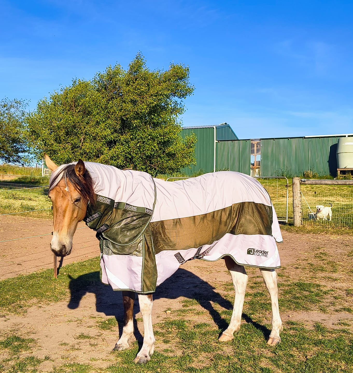 Customer photo review of LE Boxter Hybrid Mack Turnout 0g