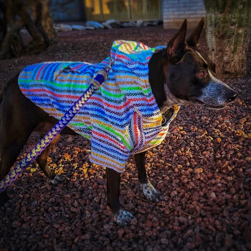 Customer photo review of Playa Poncho – Mystery Color (Bella, Charlie, or Fun Edition)