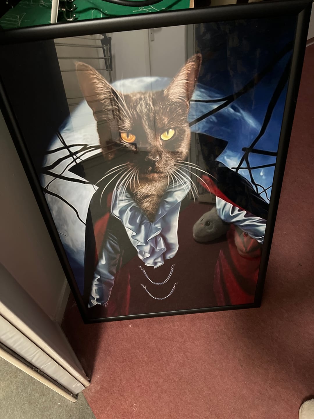 Customer photo review of Dracula