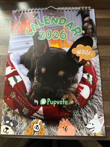 Customer photo review of Official Pupvote Cutest Pets of the Year Calendar (2026)