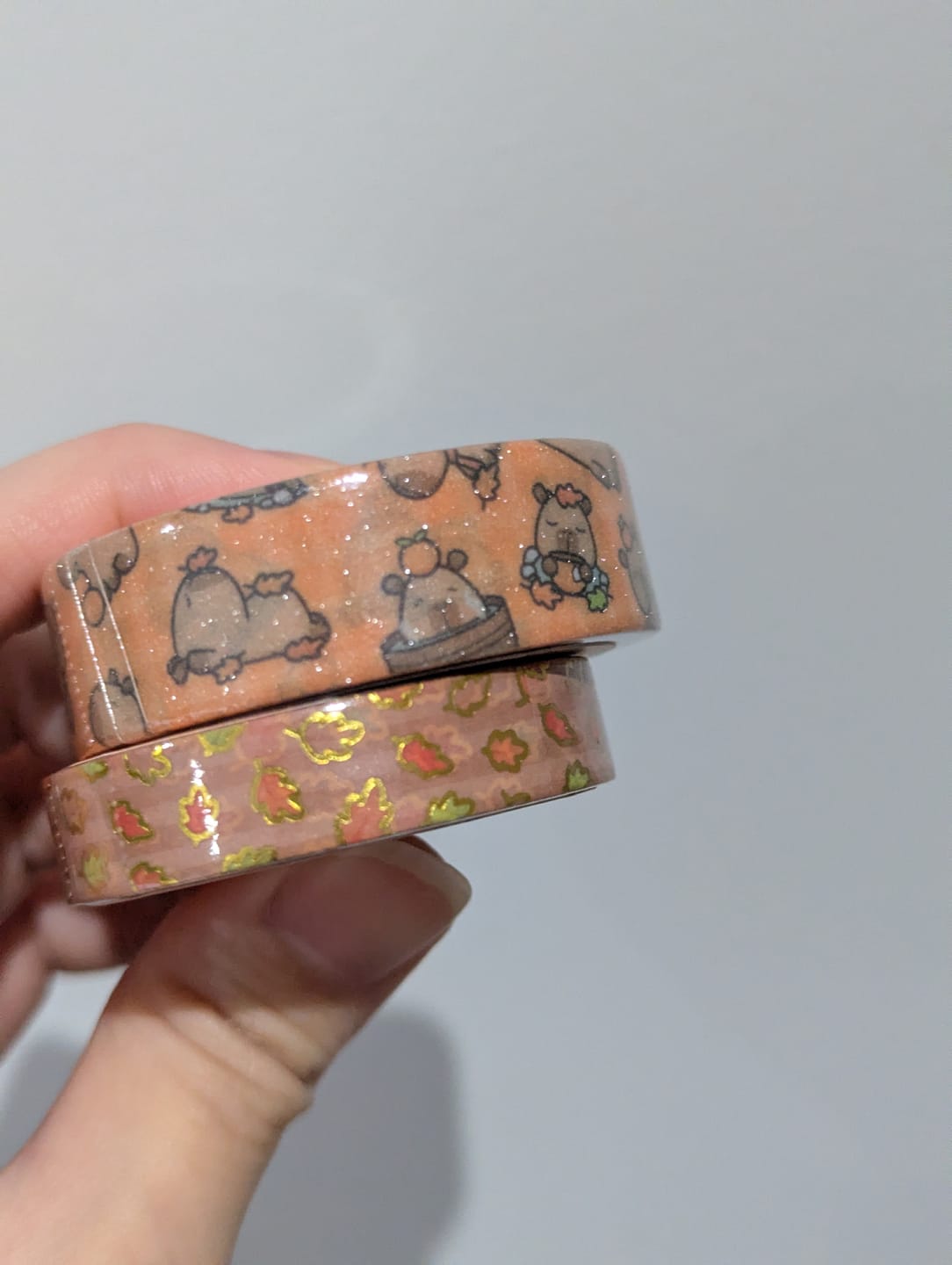 Customer photo review of Autumn Capybaras Washi Tapes (Set of 2)