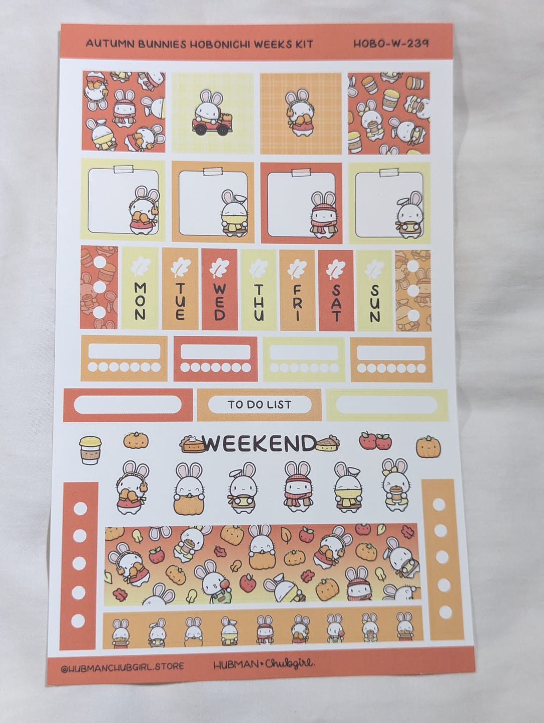Customer photo review of Autumn Bunnies Theme Hobonichi Weeks Kit