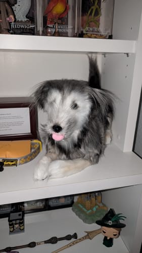 Custom Petslify plush reviewed by Lisa C., handmade replica of their pet