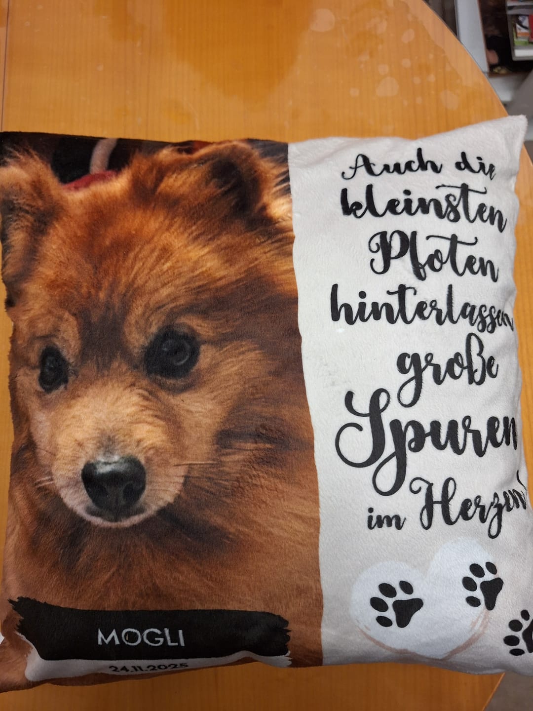 Customer photo review of Die kleinsten Pfoten - Individuelles Kissen
