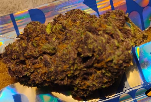 Customer photo review of Shipping Protection by Route