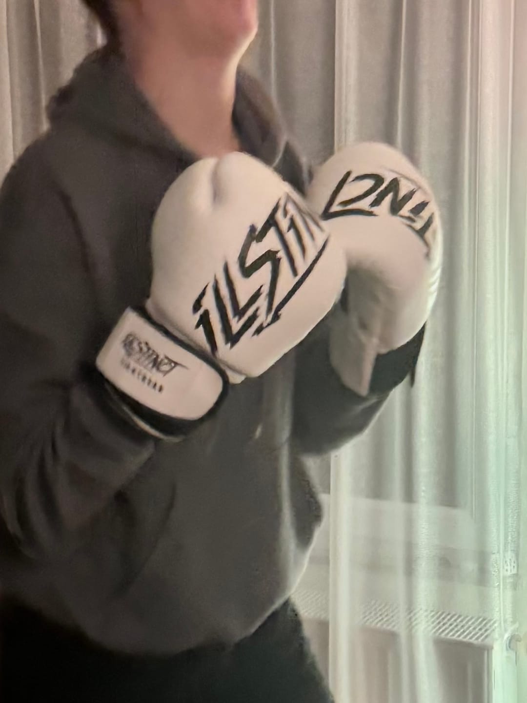 Customer photo review of Skilltech Boxhandschuhe