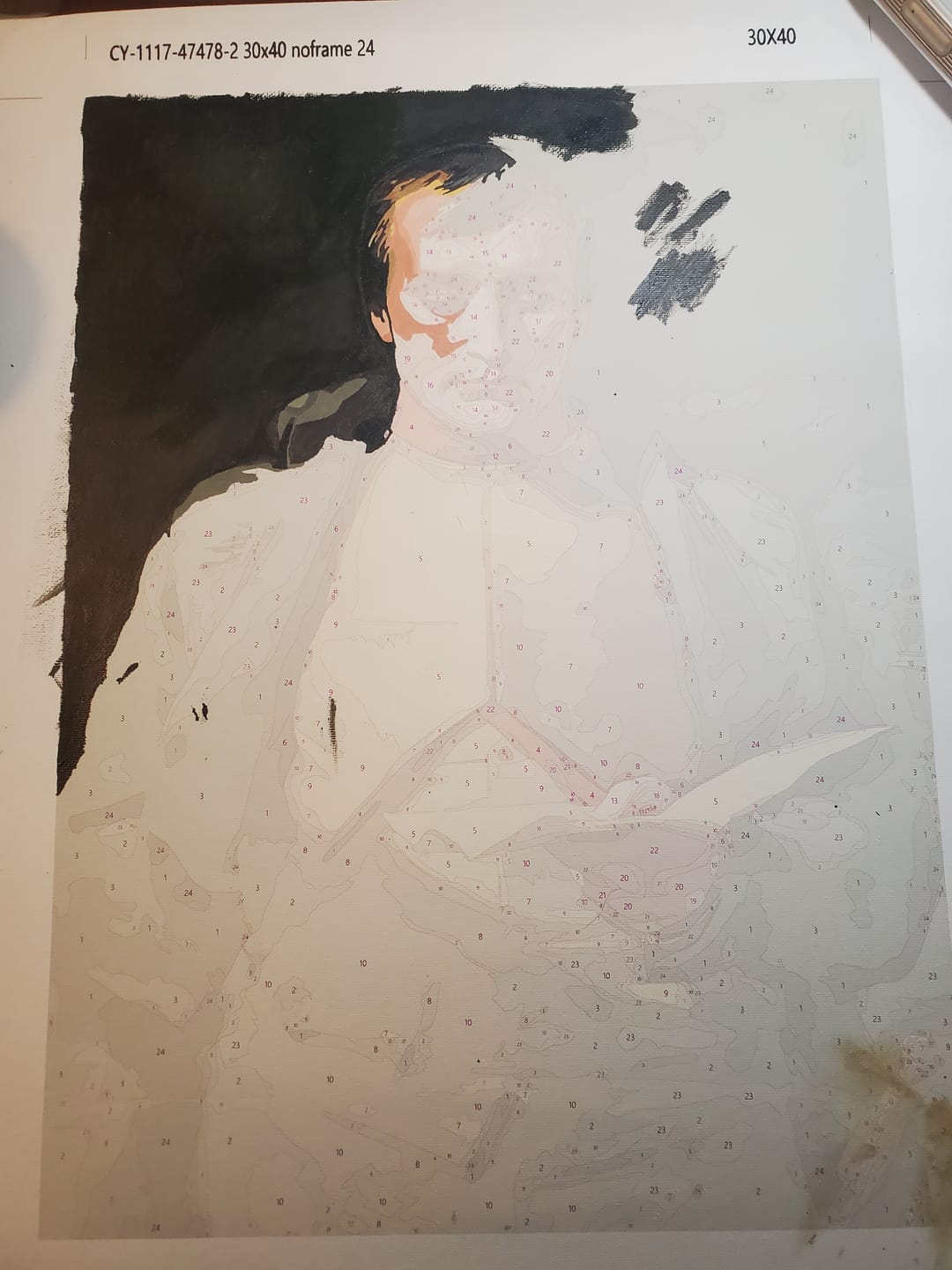 Customer photo review of Custom Paint By Numbers Personalized Photo Unframed