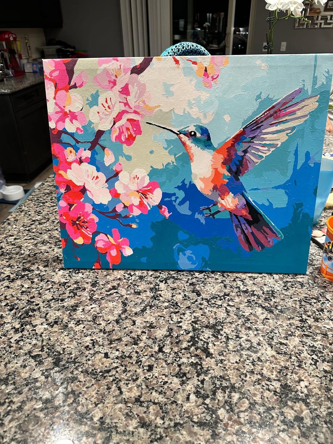 Customer photo review of Feeding Hummingbird