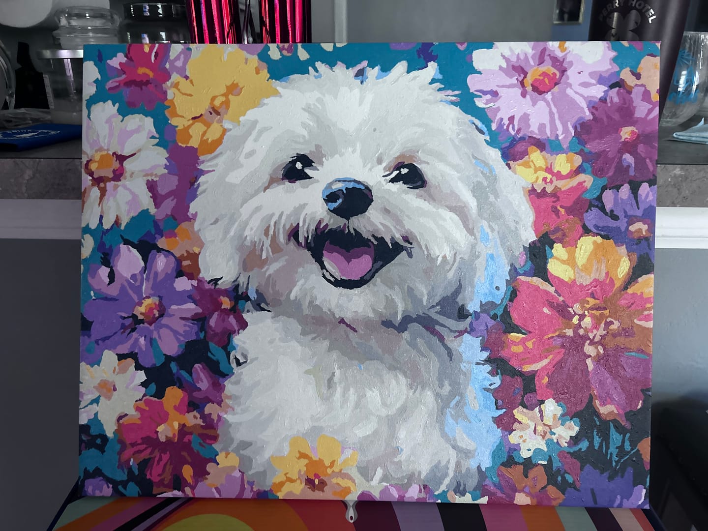 Customer photo review of Bichon Frise