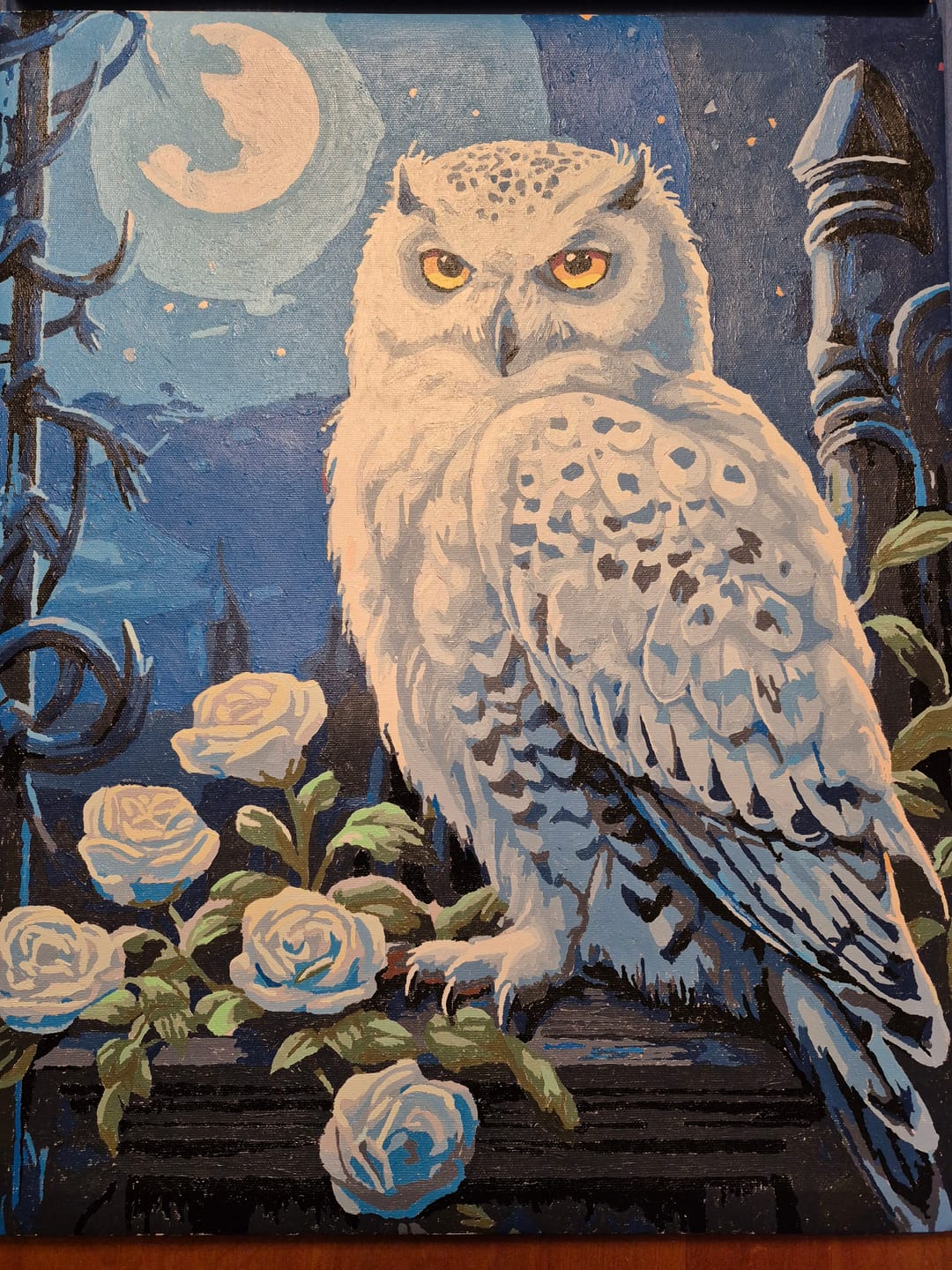 Customer photo review of Snowy Owl