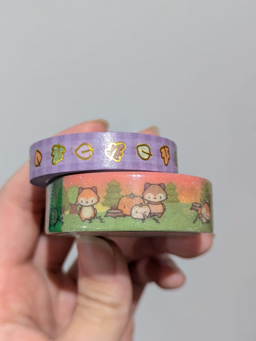 Customer photo review of Autumn Foxes Washi Tape (Set of 2)