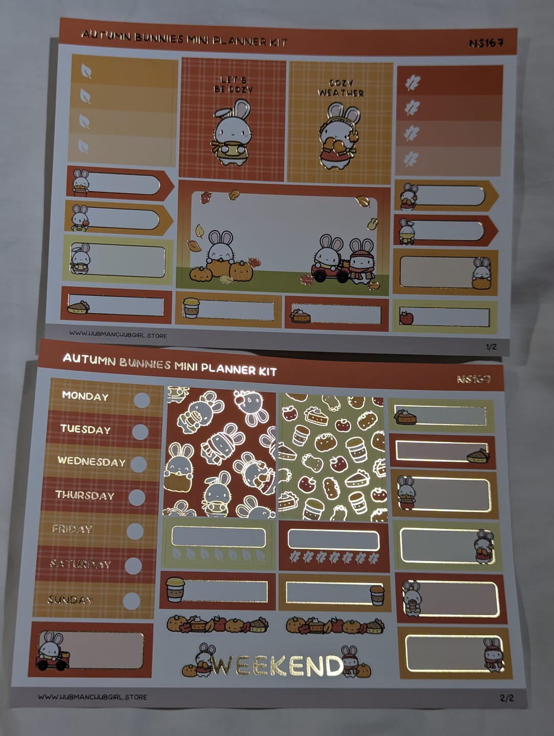 Customer photo review of Autumn Bunnies Box Set