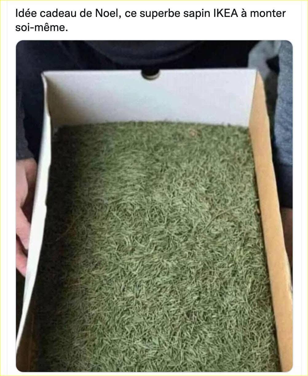 Customer photo review of Offre de Noël : 3 enquêtes pour le prix de 2