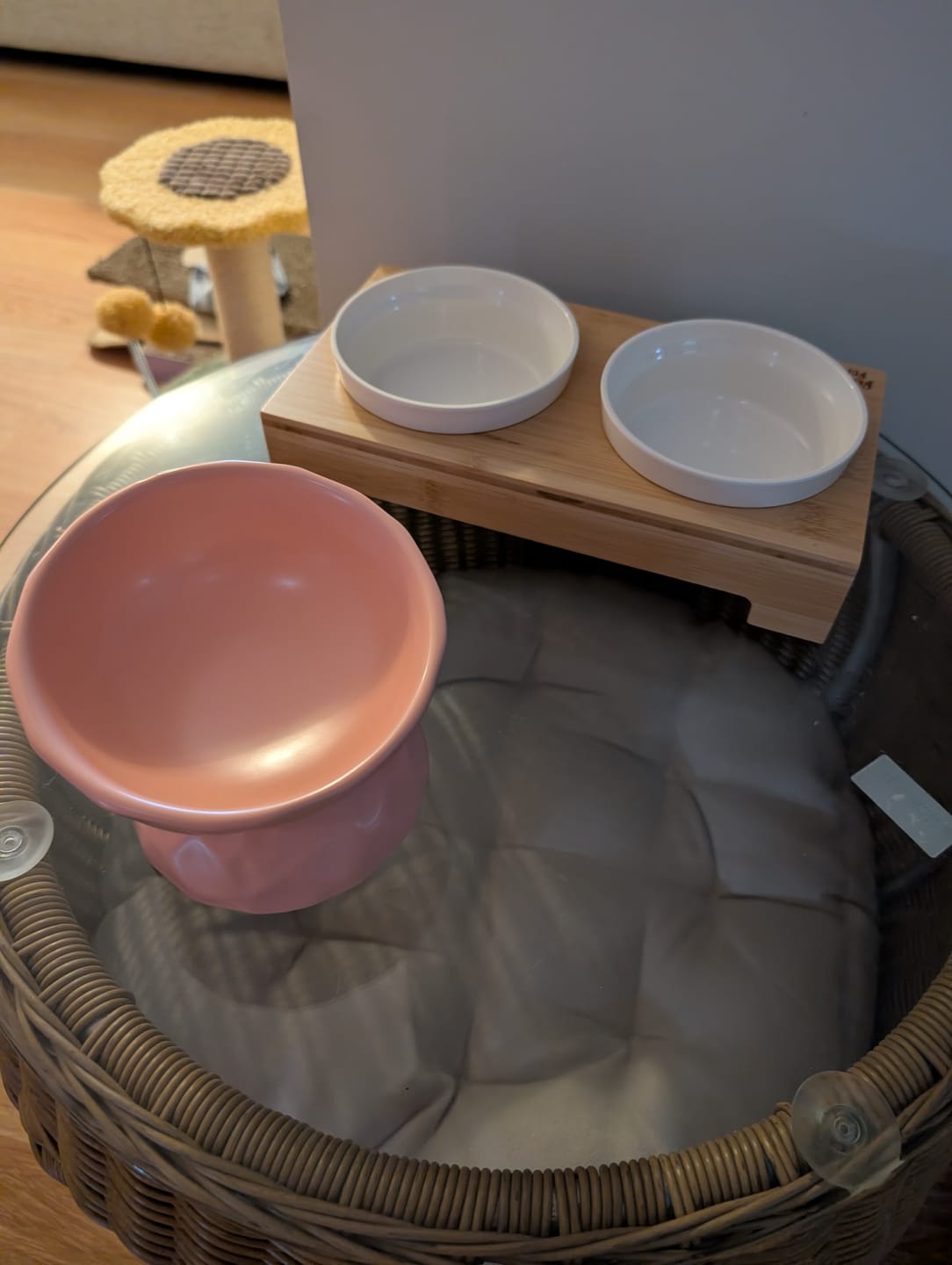 Customer photo review of Tilting Ceramic Cat Bowls With Uneven Texture