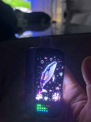 Customer photo review of VAPSOLO MASTER 70000 puffs