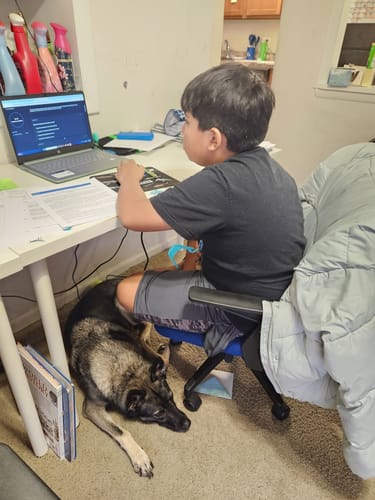 Customer's son using the Sixth Grade Curriculum on a laptop at his desk, with a dog resting by his feet.