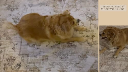 Customer photo review of Woven Non-Slip Stair Treads - Gray/Brown