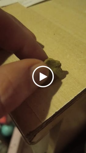 Customer video review of Yellow Lebanese THCA HASH