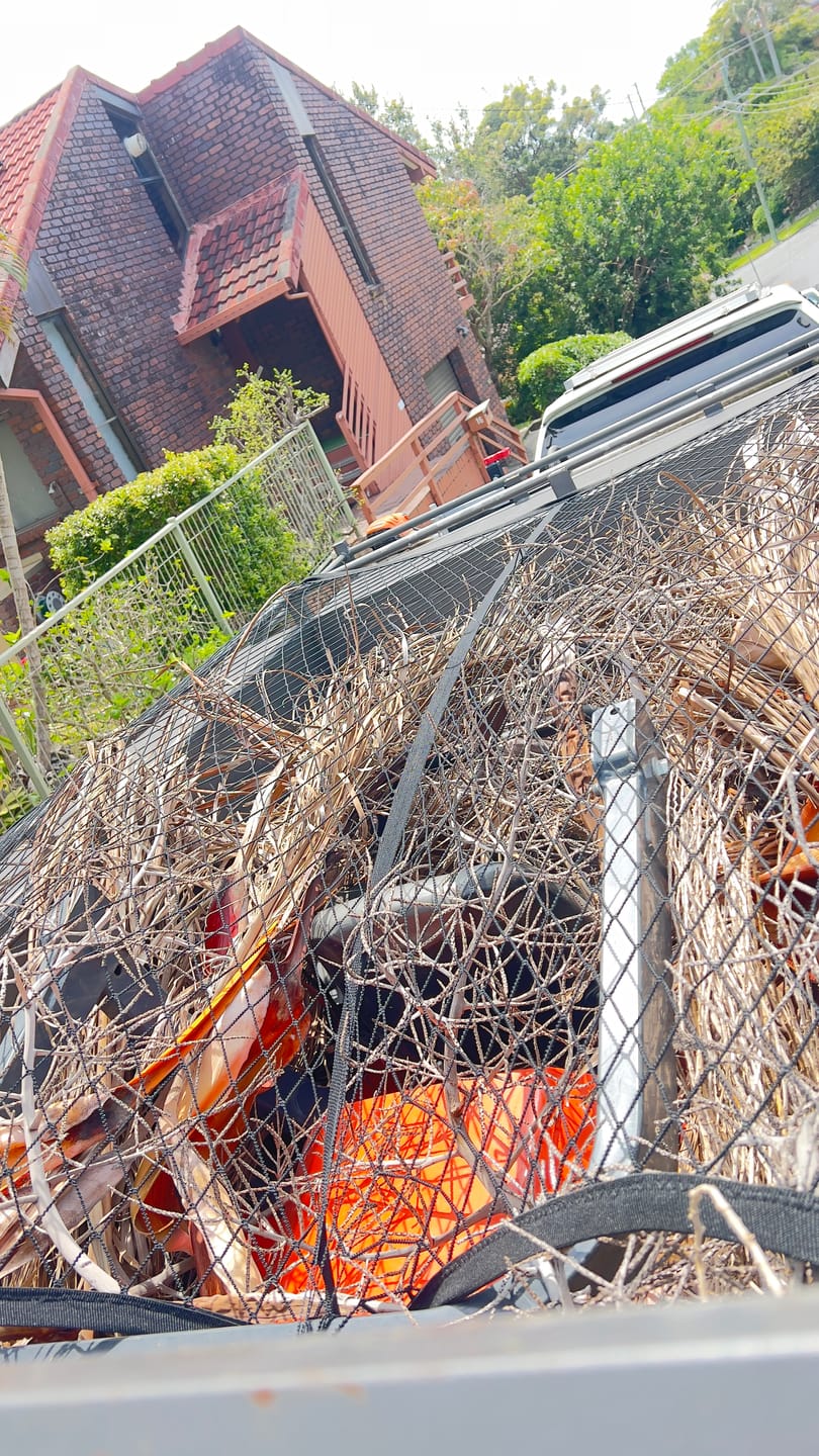 Customer photo review of LOCKEDOWN™ Heavy Duty Elastic Cargo Net