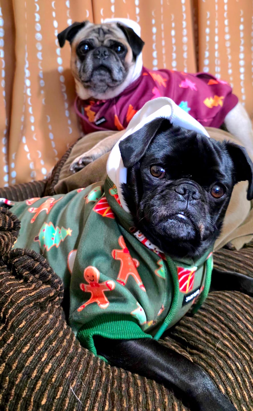 Customer photo review of Christmas Dog Hoodie - Candy Trees