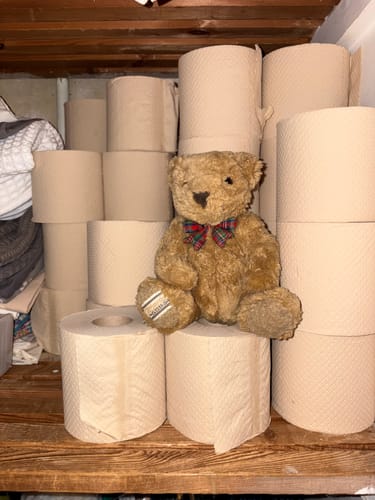 Reviewer's supply of unbleached bamboo toilet paper stacked in a cupboard, with a teddy bear sitting among the rolls.