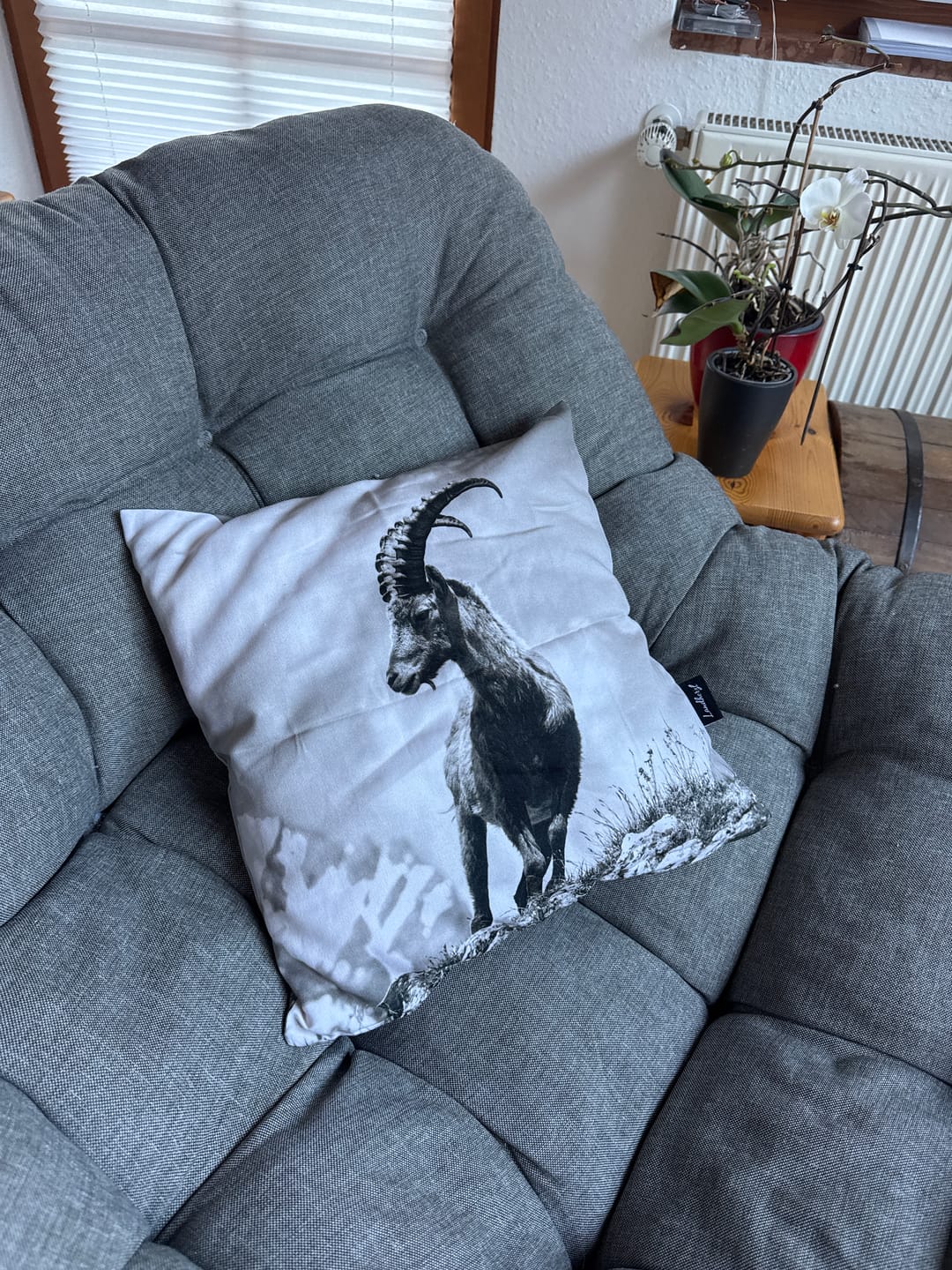 Customer photo review of Kissenbezug "Steinbock" (beidseitig bedruckt)