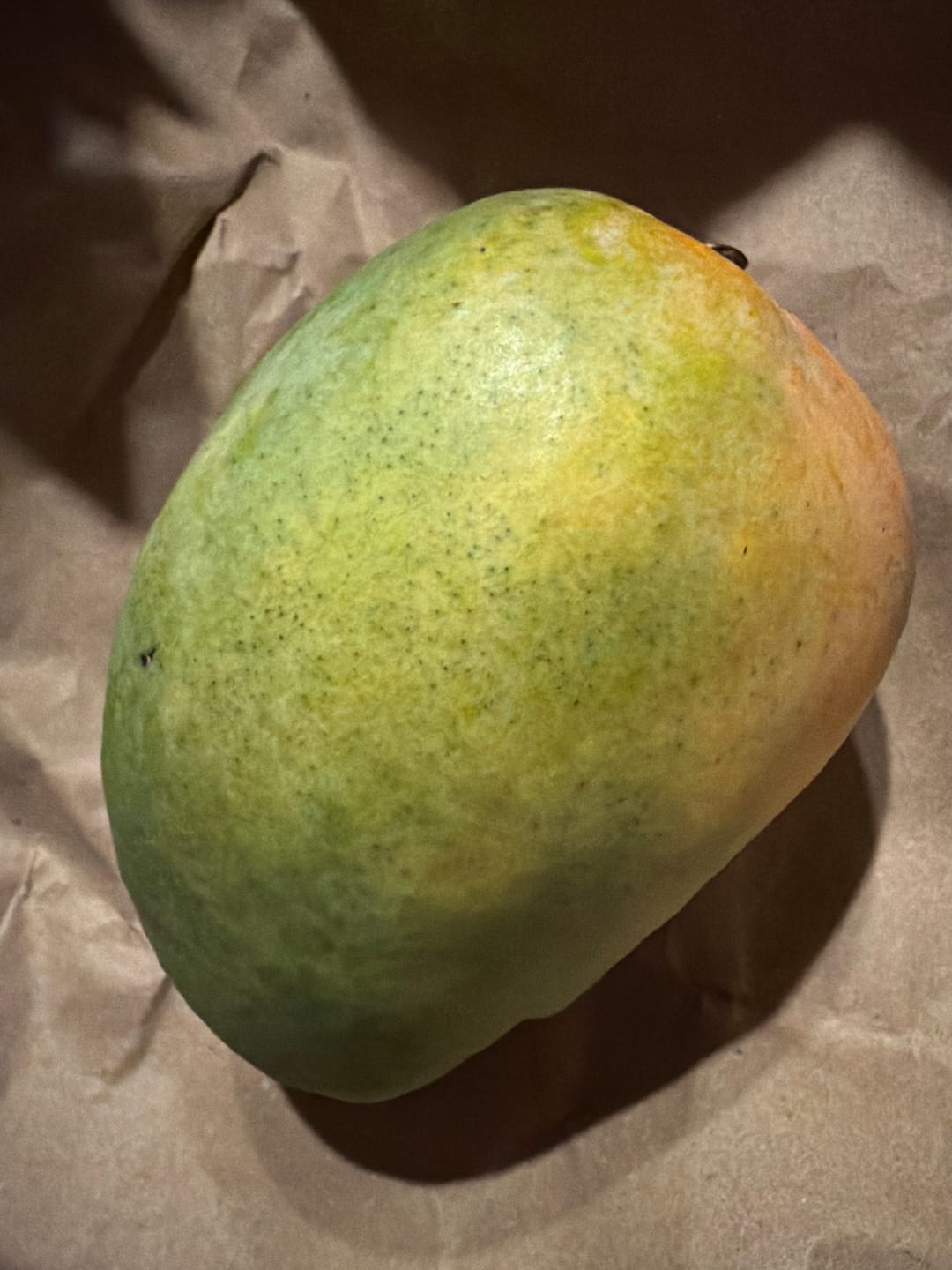 Customer photo review of Mango "Edward" Bio Flugware baumgereift