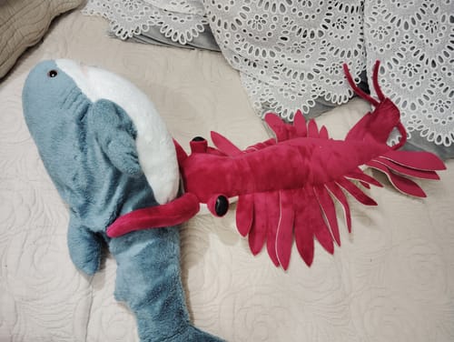 Customer photo review of Anomalocaris Plush – Soft, Realistic Cambrian Predator Toy for Prehistoric Fans