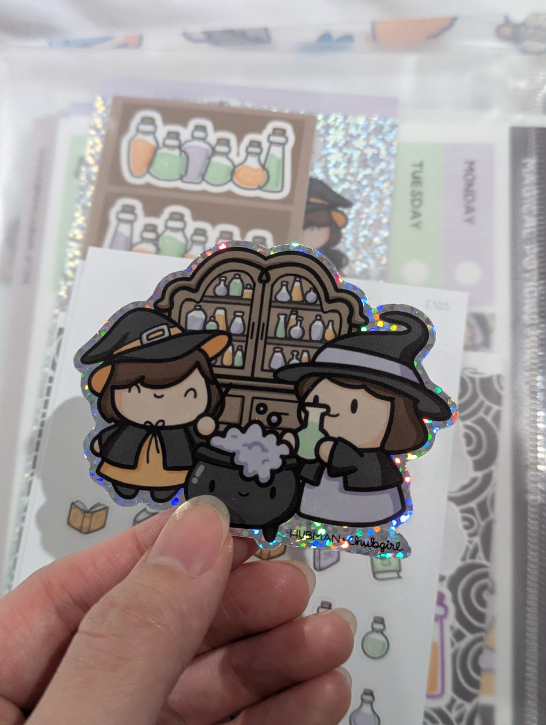 Customer photo review of Witches and Potions Variety Sticker Pack