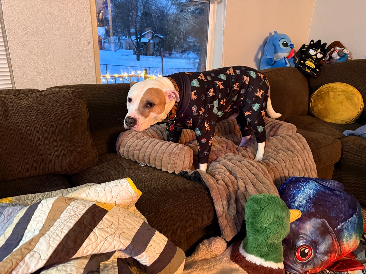Customer photo review of Dog Christmas Pajama - Reindeers