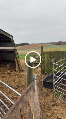 Customer video review of Støttestrømper