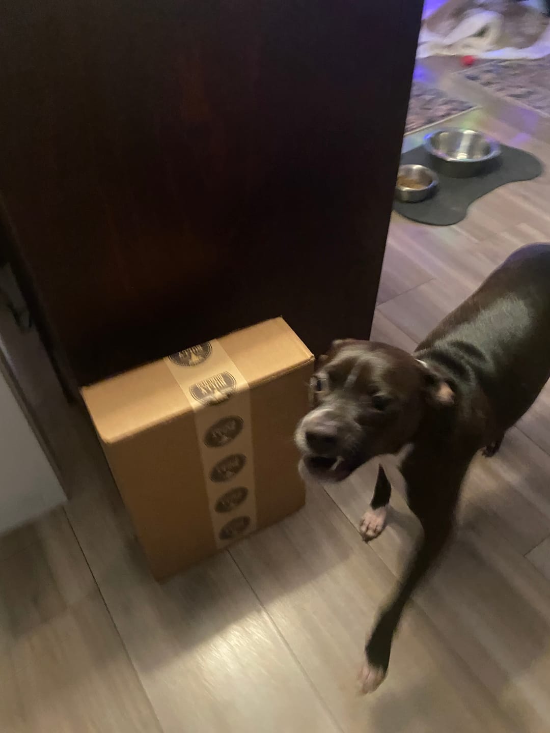 Customer photo review of 6 Inch Beef Jerky Stick