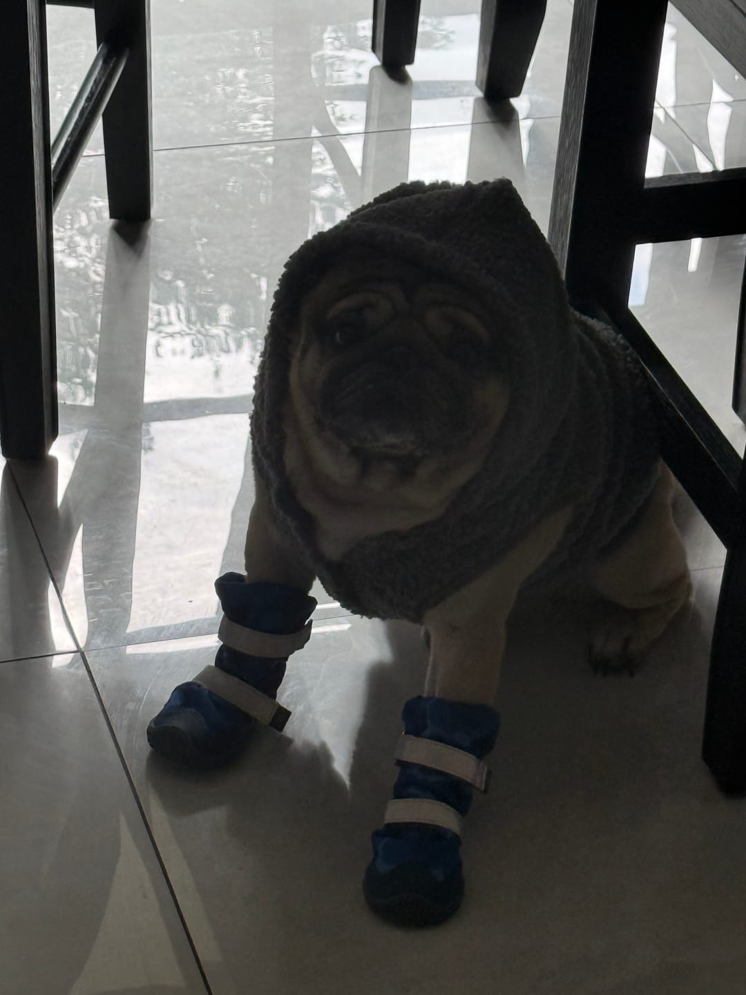 Customer photo review of Leg Warmer and Earmuff Protector Set - Grey