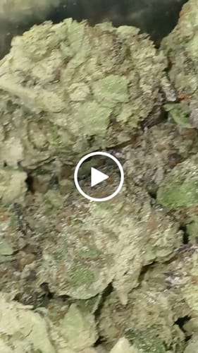 Customer video review of Cheap THCA Flower Quarter Pound