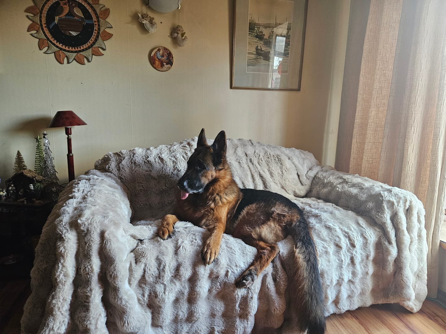 Customer photo review of Cubre Sofá Piel de Conejo — Lujo suave que protege tu sofá