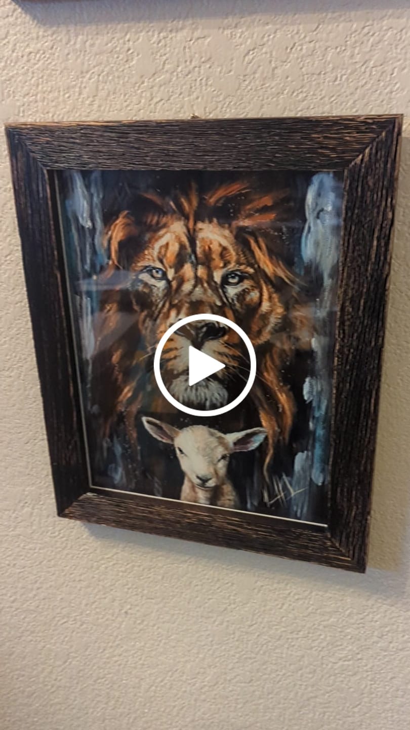 Customer video review of The Lion and Lamb Passover