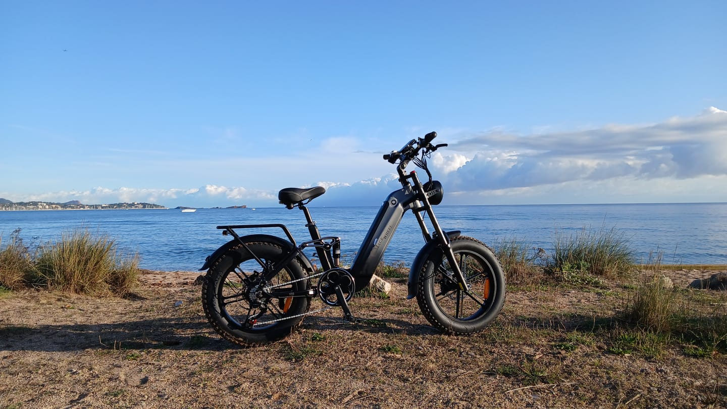 Customer photo review of CMACEWHEEL V20 750W 20" Fat Bike 960Wh Full Suspension E-bike with Torque Sensor 48V 20Ah Battery [Pre-Order]